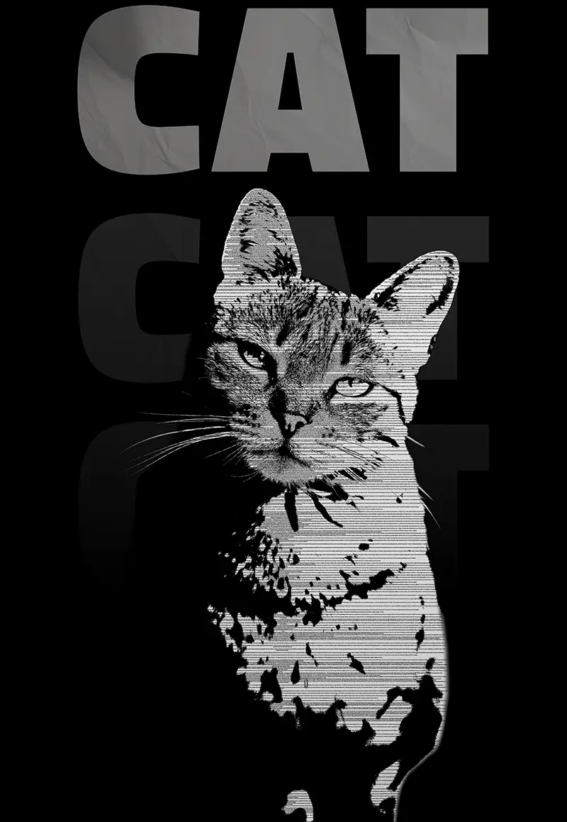Cat Poster Design
